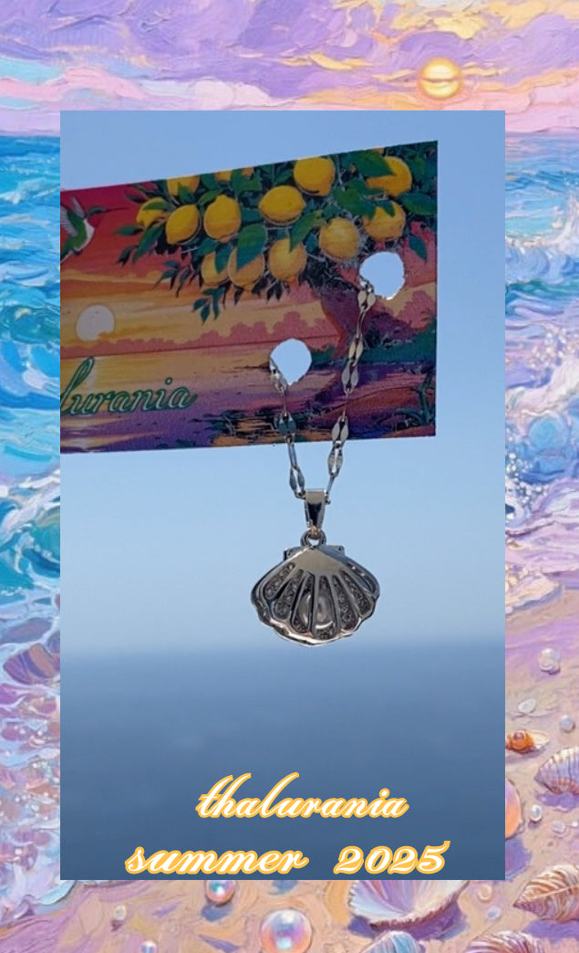 Shell shine!