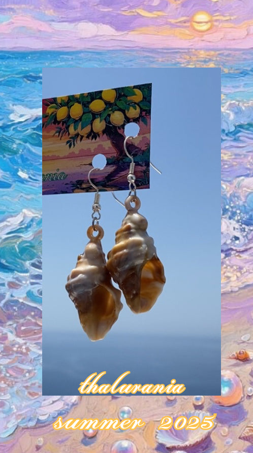 Shells 🐚