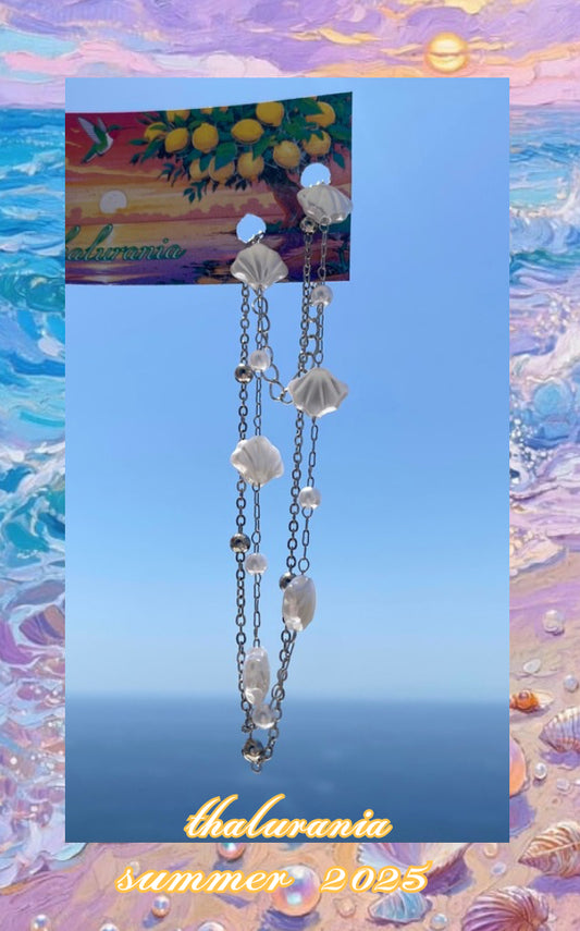 Sea shells 🐚