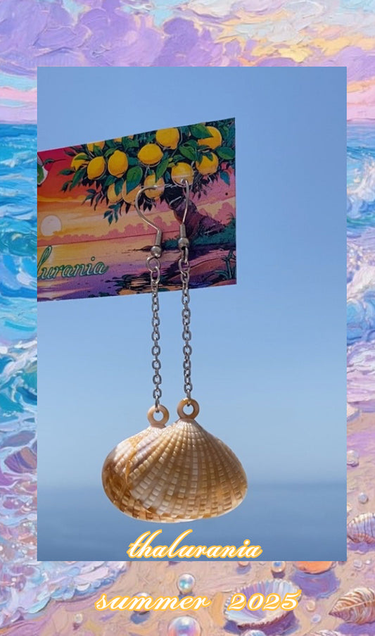 Shell on the beach 🏖️