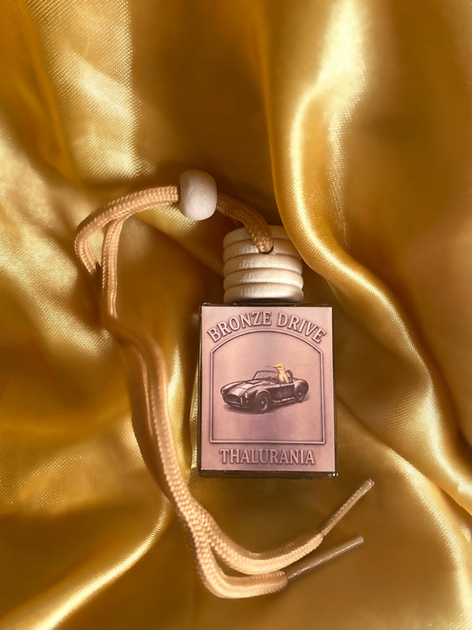 Bronze drive car diffuser ✨